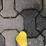 Kolorystyka i design – jak szafki do szatni wpływają na estetykę obiektu?